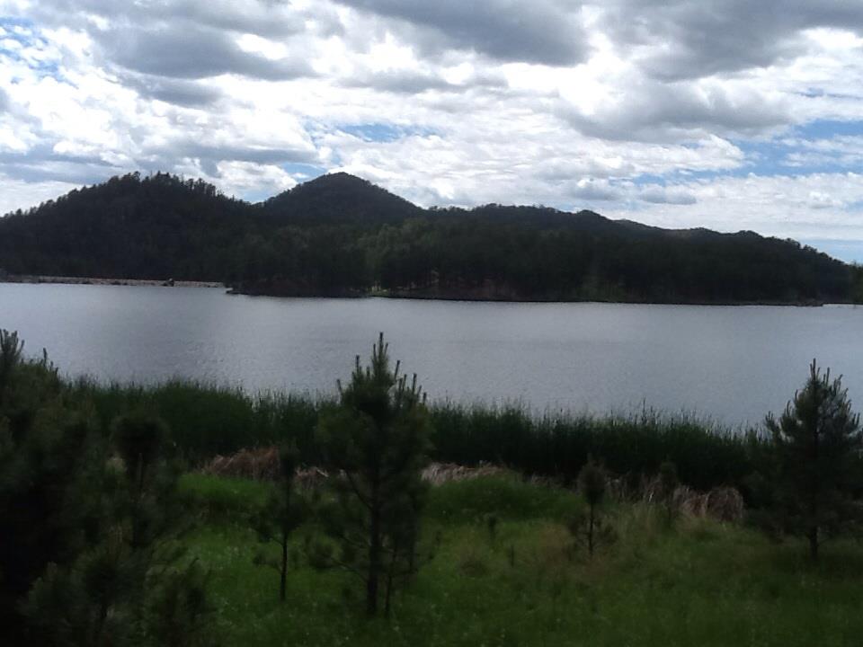 Custer State Park in the Black Hills... Praising Him for His wonders! 