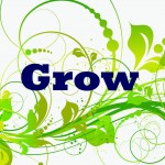 One Word 2014: GROW