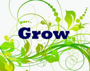 GROW One word 2014