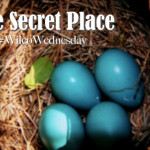 The Secret Place #WilcoWednesday