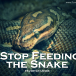 Stop feeding the Snake (#EverydayJesus Linkup)