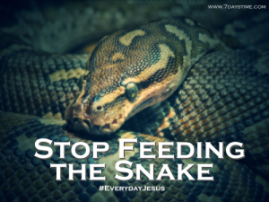 Stop Feeding Snake