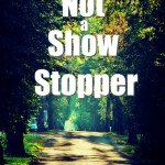 Not a Show Stopper