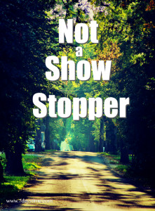 not a show stopper