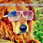 6 (Humorous) Signs that Homecoming is Coming (Army Wife Network)