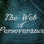 Web of Perseverance