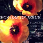 Because of Jesus: Photo Series #2